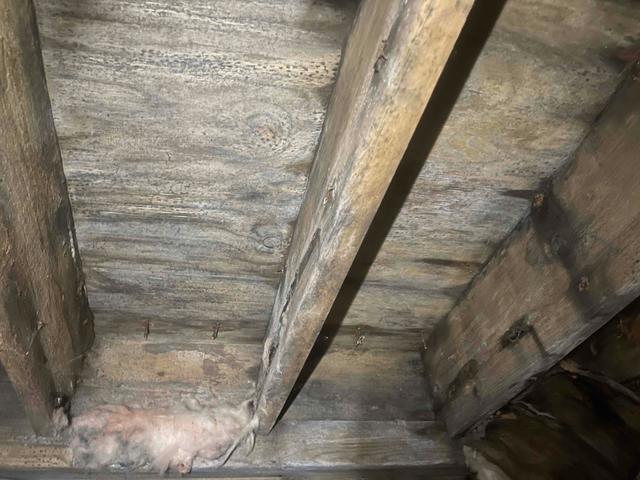 Poor Wood Quality from Moisture Exposure