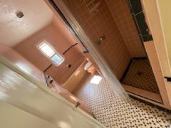 Post bathroom cleanout
