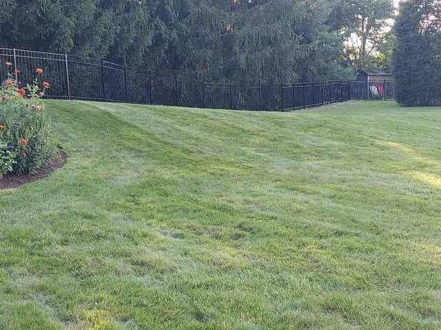 5' Classic, 3 Rail, Picket Through Bottom Rail, Residential Grade Black Aluminum Fence / (2) 4' Gates / (1) 8' Double Gate
