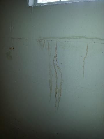 Seeping wall cracks