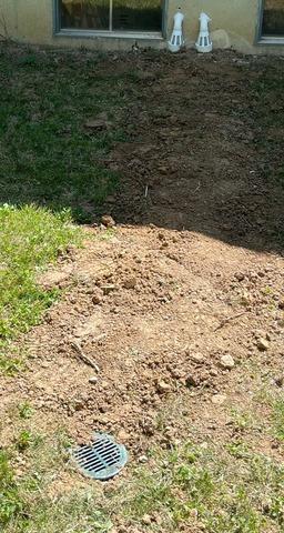 IceGuard and Downspout Extension