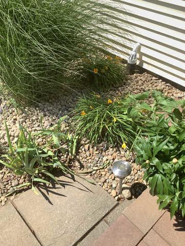 Basement Waterproofing