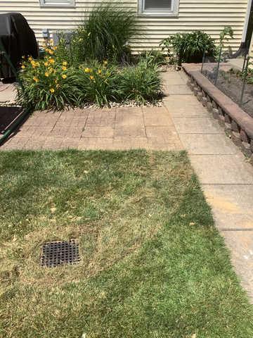 Basement Waterproofing