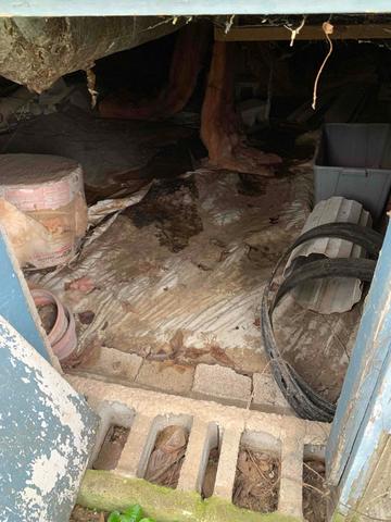 Unhealthy Crawl Space