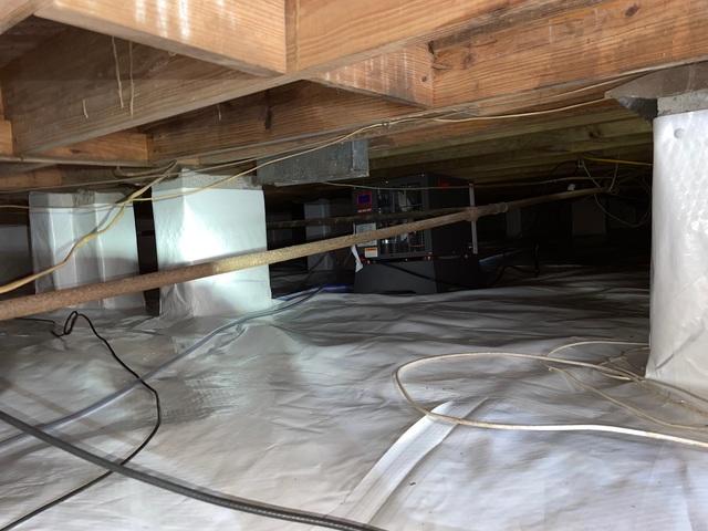 After CleanSpace Encapsulation