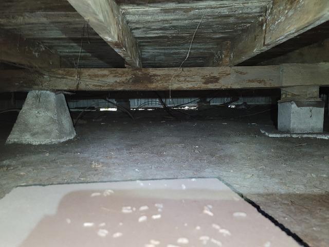 Main Beam with Settled Support Pillars