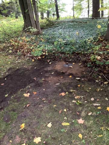 Wet Basement Repair