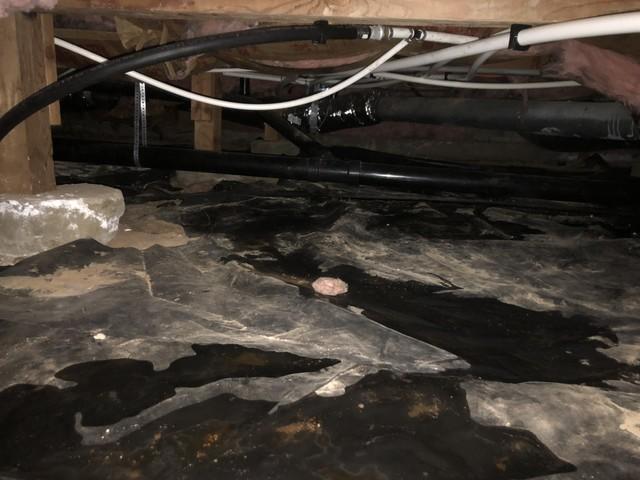 Wet Crawl Space