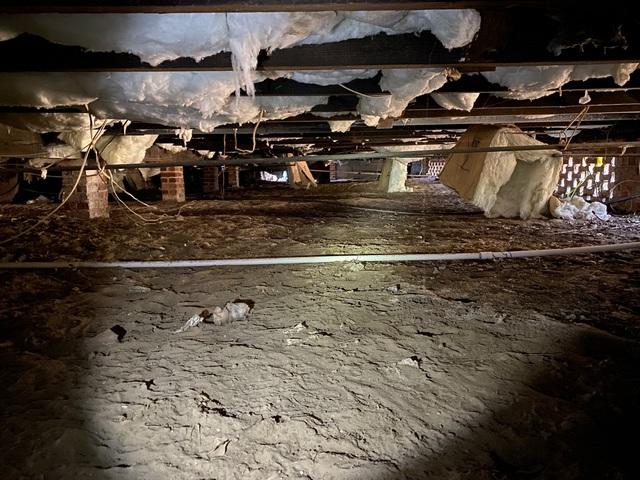 Before Encapsulation