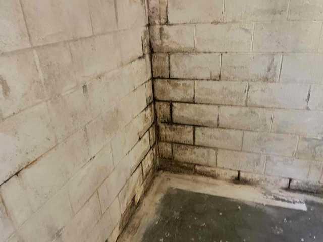 Basement Waterpoofing