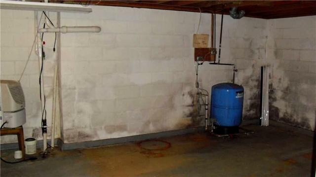 Is that Mold in the Basement?