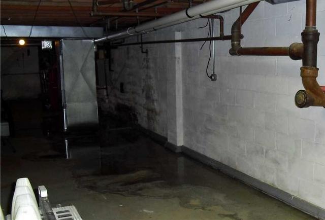 Flood in Colts Neck Basement