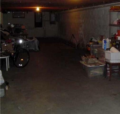Damp Basement in Colts Neck