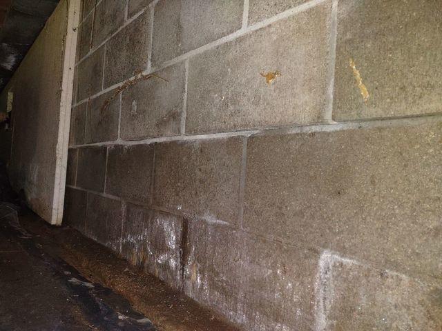 Visible Water Damage