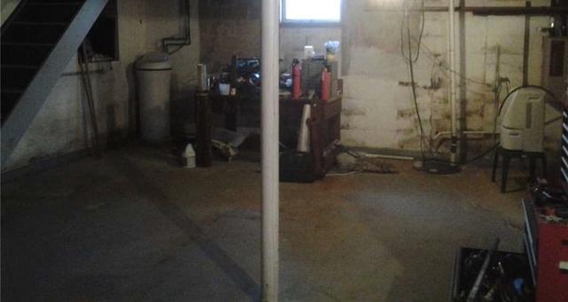 Dark and Damp Equals Mold?