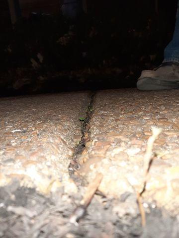Tripping Hazard