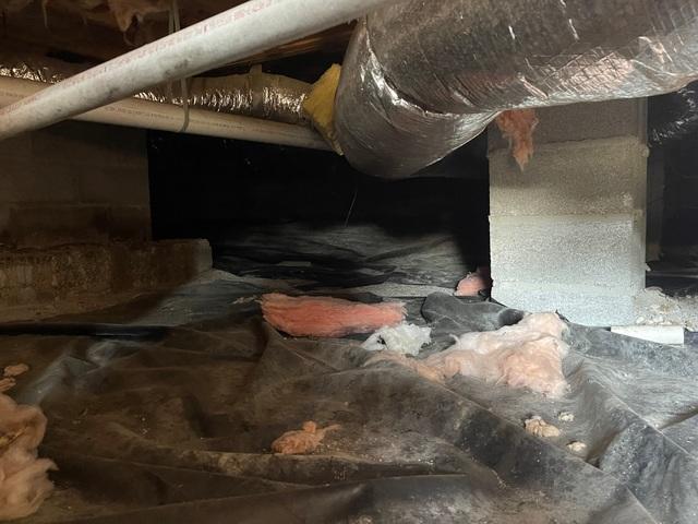 Unhealthy Crawl Space
