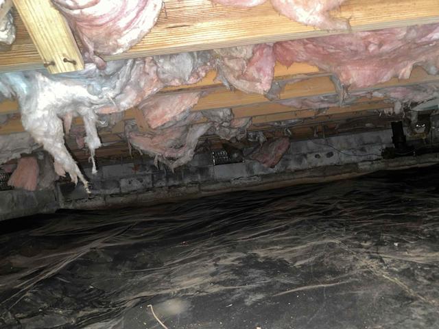 Unhealthy Crawl Space
