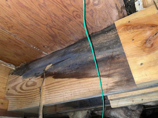 Wood Rotting Away