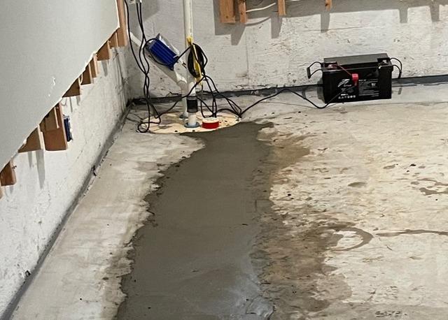 WaterGuard, TripleSafe, and UltraSump