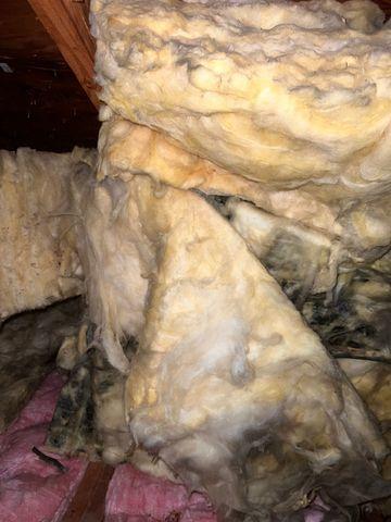 Dirty Insulation