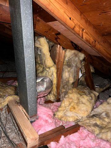 Old Insulation