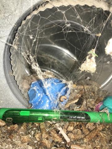 Duct Cleaning - Avoca, IA