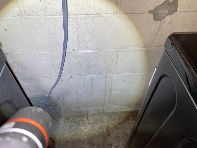 Wet Basement