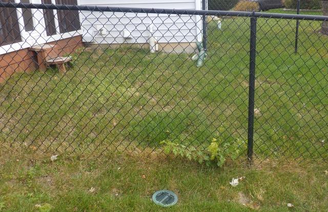 Sump Pump Discharge