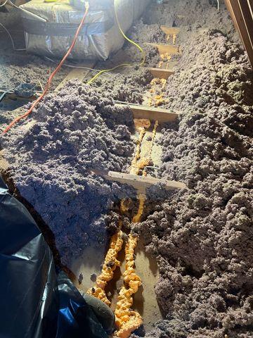 Zyp Foam Air Sealing