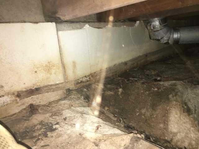 Drain Tile (Before)