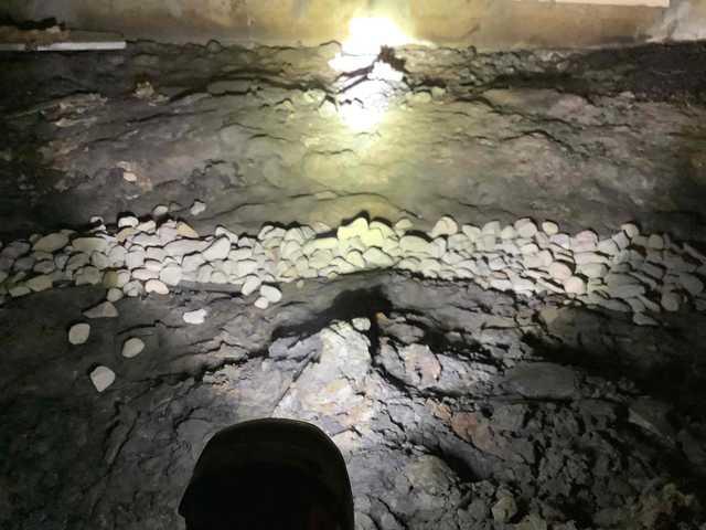 Drain Tile