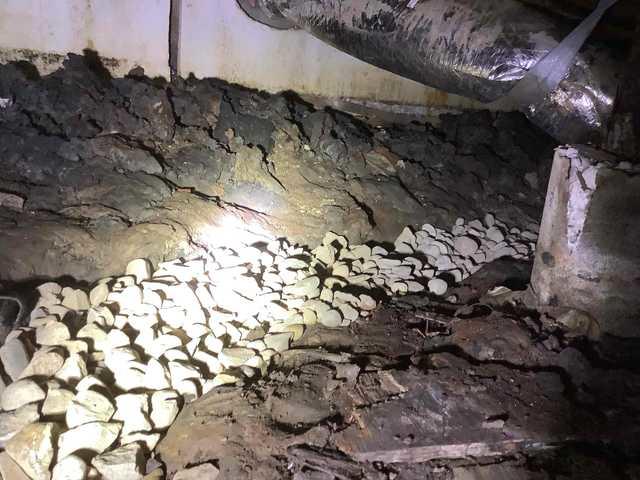 Drain Tile