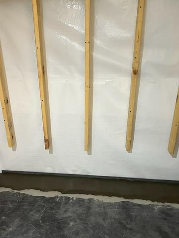 CleanSpace and WaterGuard