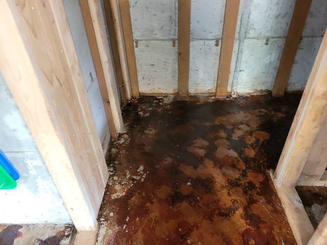 Basement Flooding