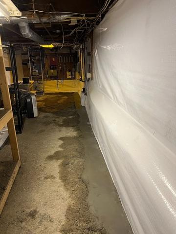 CleanSpace