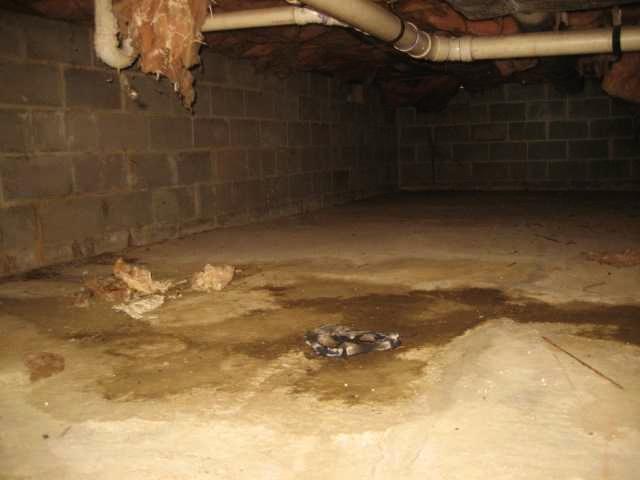 Crawl Space Floods