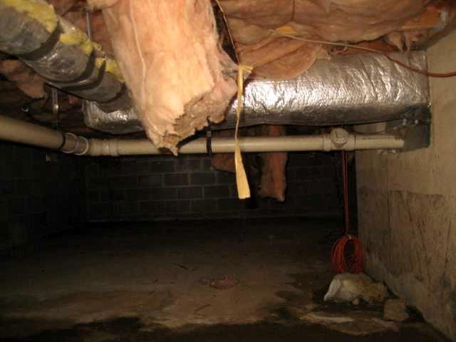 Wet, Moldy Crawl Spaces