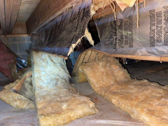 Fallen Crawl Space Insulation