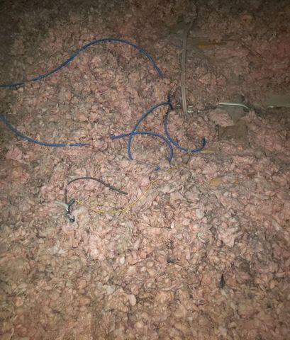 Dirty Insulation