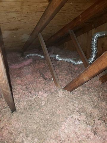 Dirty Attic Insulation