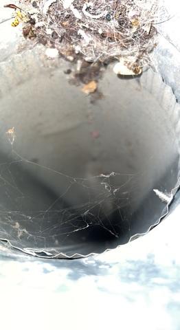 Duct Cleaning - Glenwood, IA
