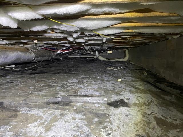 Unhealthy Crawl Space