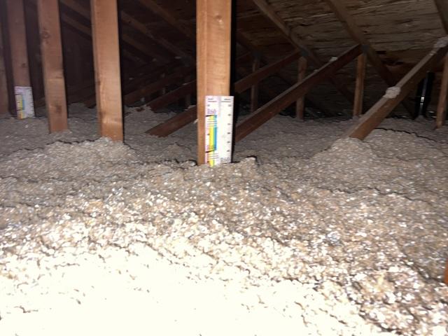 Cellulose insulation