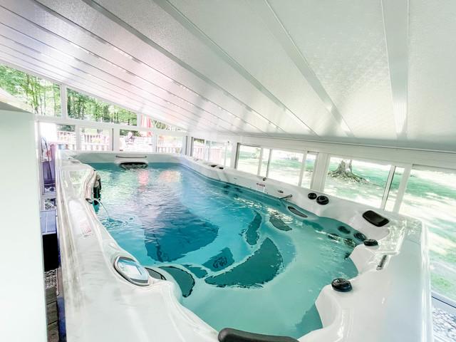 Swim spa