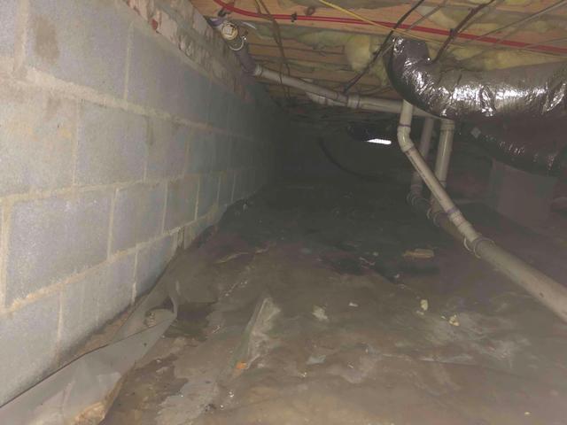 Wet Crawl Space
