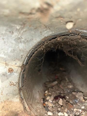 Duct Cleaning - Quimby, IA