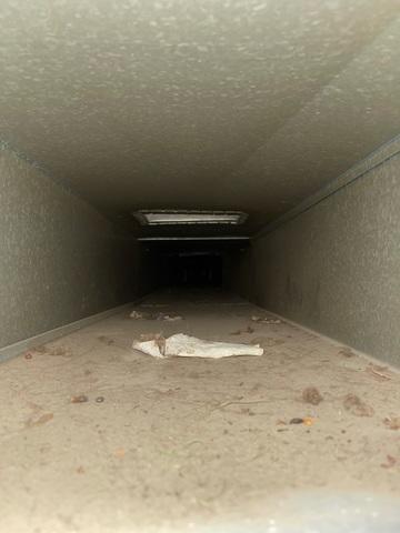 Duct Cleaning - Denison, IA