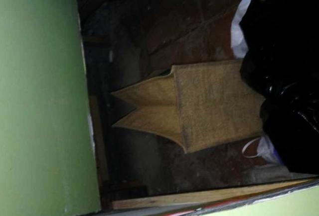 Wet Basement Health Hazard