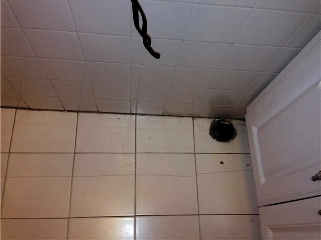 Is that Mold on the Basement Wall?